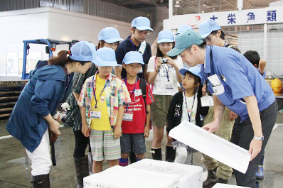 夏休み親子市場せり見学会