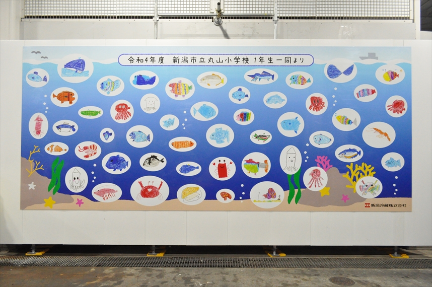 新潟市立丸山小学校のご協力のもとパネルを制作致しました