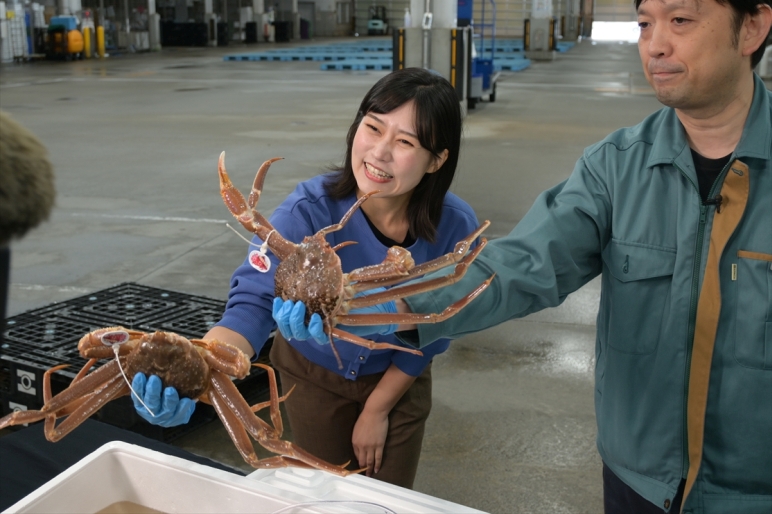 ＮＨＫ市場だより（１１／４放送分）をアップしました