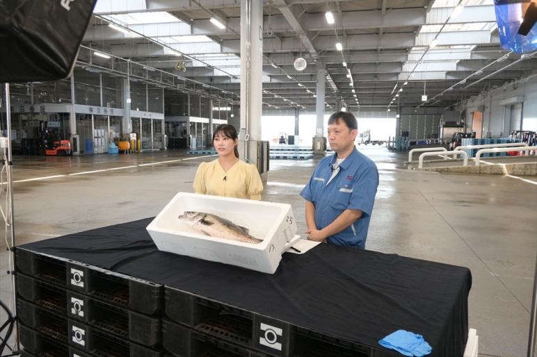 ＮＨＫ市場だより（７／１４放送分）をアップしました